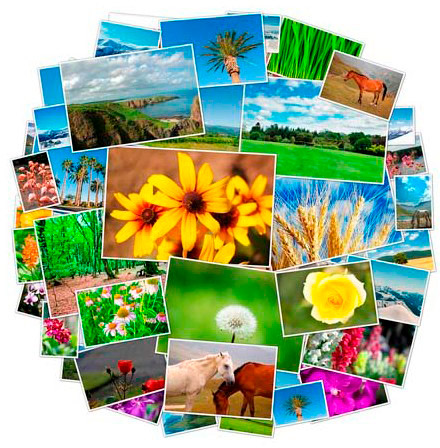 Imprimir fotos