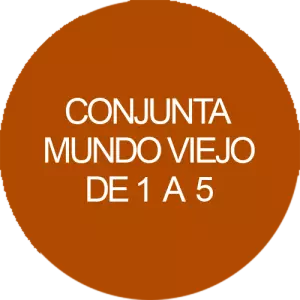 Conjunta mundo viejo de 1 a 5