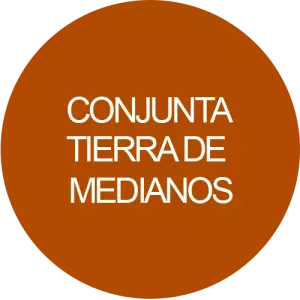 Conjunta Tierra de medianos