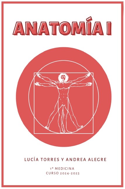 Anatomía I - (47 pág) - (Lucía Torres y Andrea Alegre)
