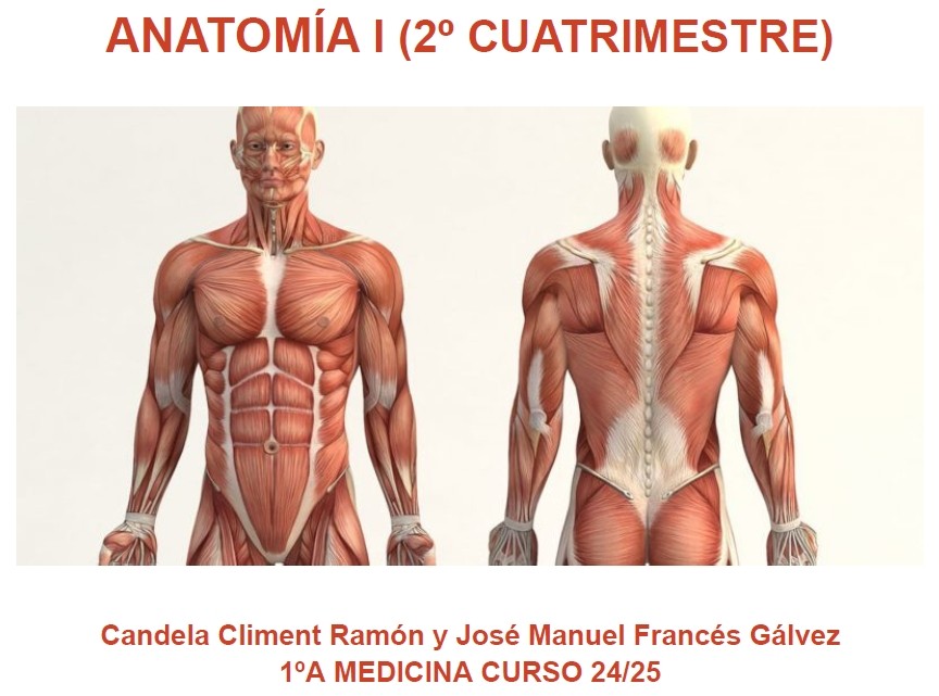 Anatomía I - (267 PÁG) - (Candela y José Manuel)