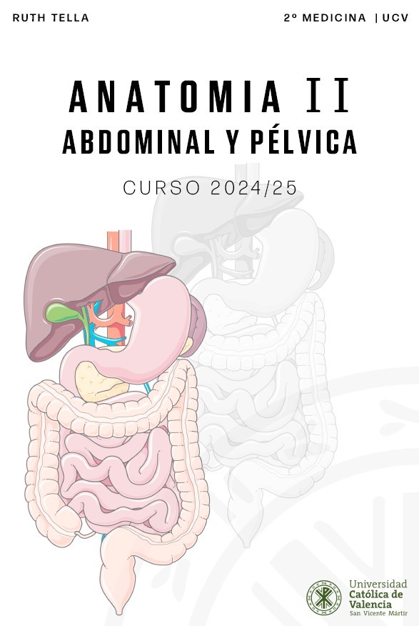 Anatomía II (Abdominal y pélvica) - (199 pág) - (Ruth Tella)