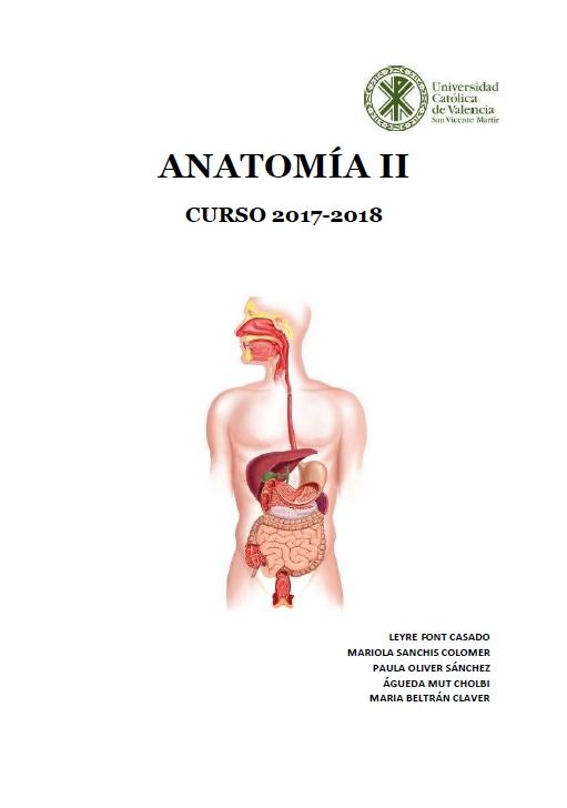 Anatomía II