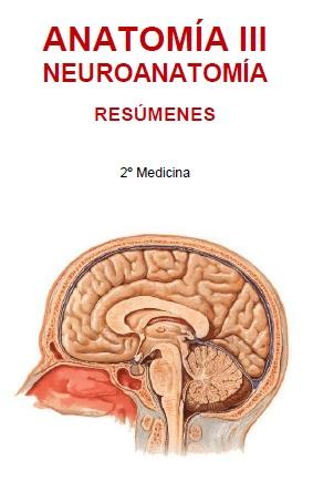Anatomía III - Neuroanatomía