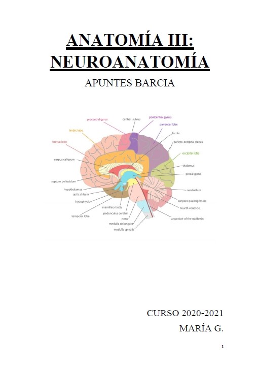 Anatomía III Neuroanatomía
