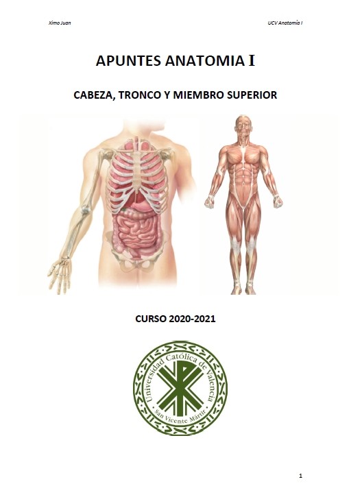 Anatomía