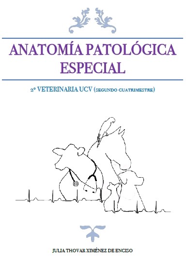 Anatomía patológica