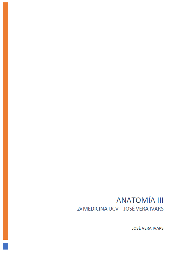 Neuroanatomía