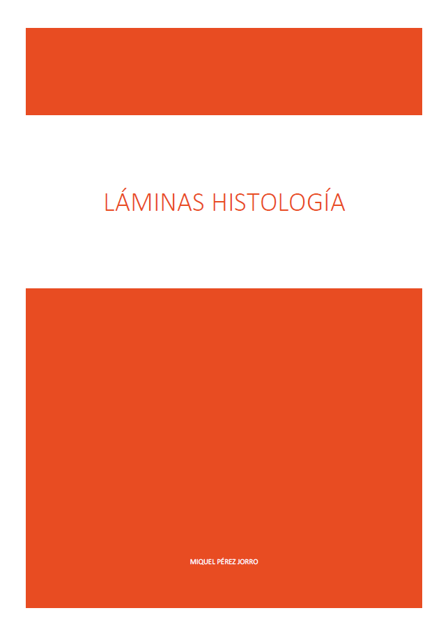 Láminas histología