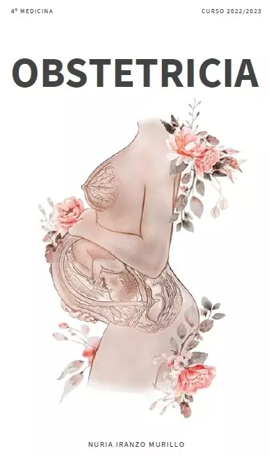 Obstetricia
