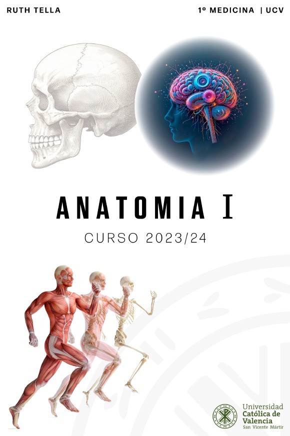 Anatomía I