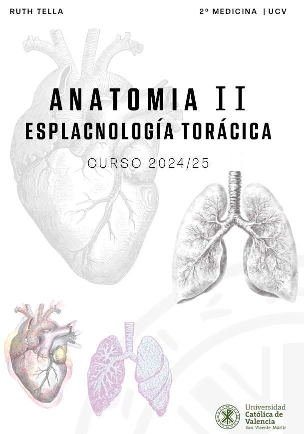 Anatomía II (Esplacnología)
