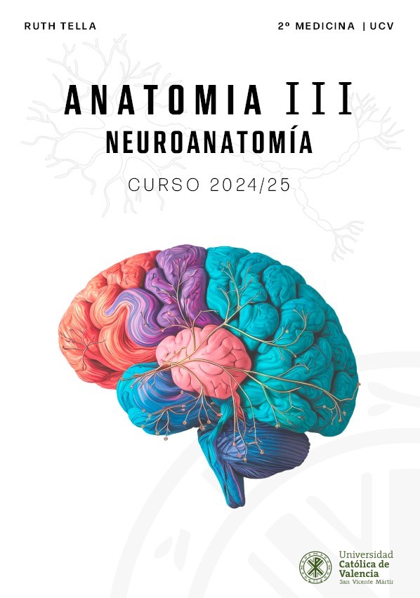 Anatomía III
