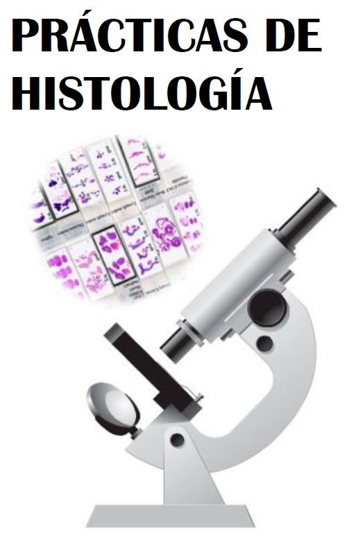 Prácticas histología
