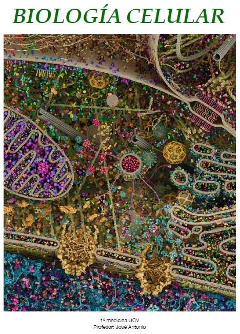 Biología Celular
