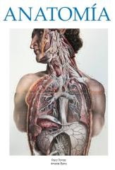 Anatomía I