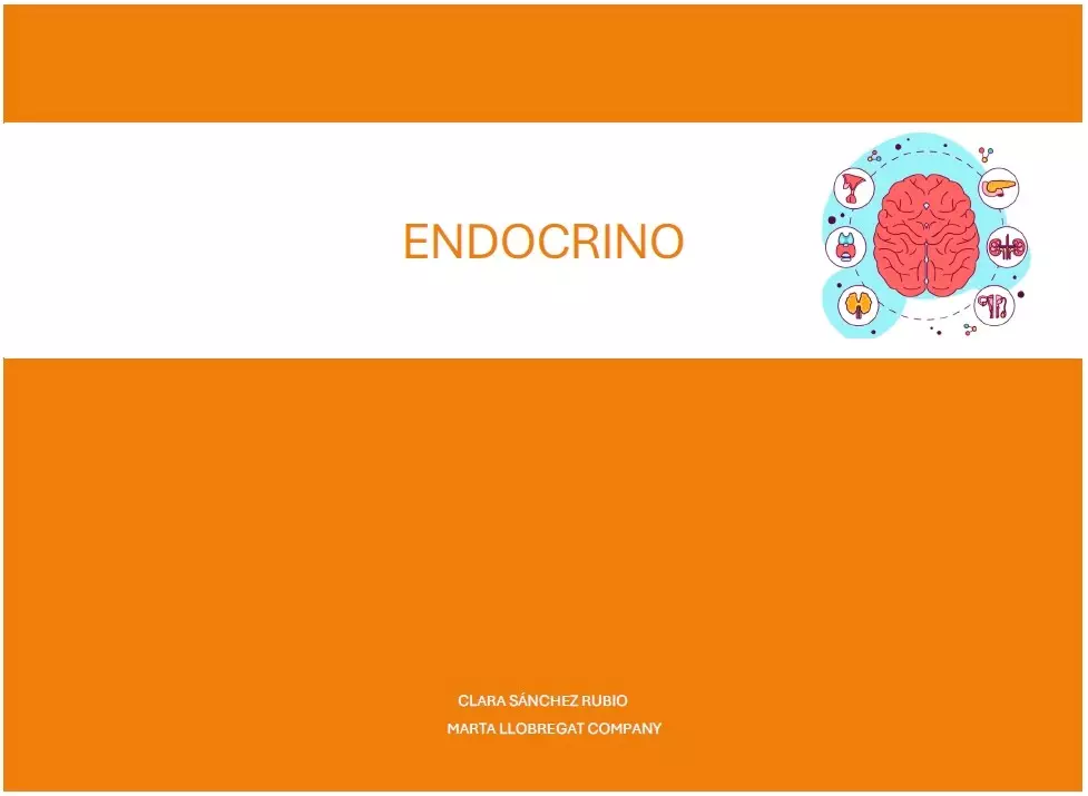 Endocrino 2do Cuatrimestre
