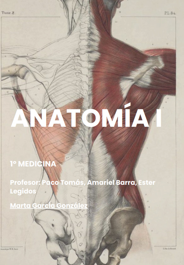 Anatomía I