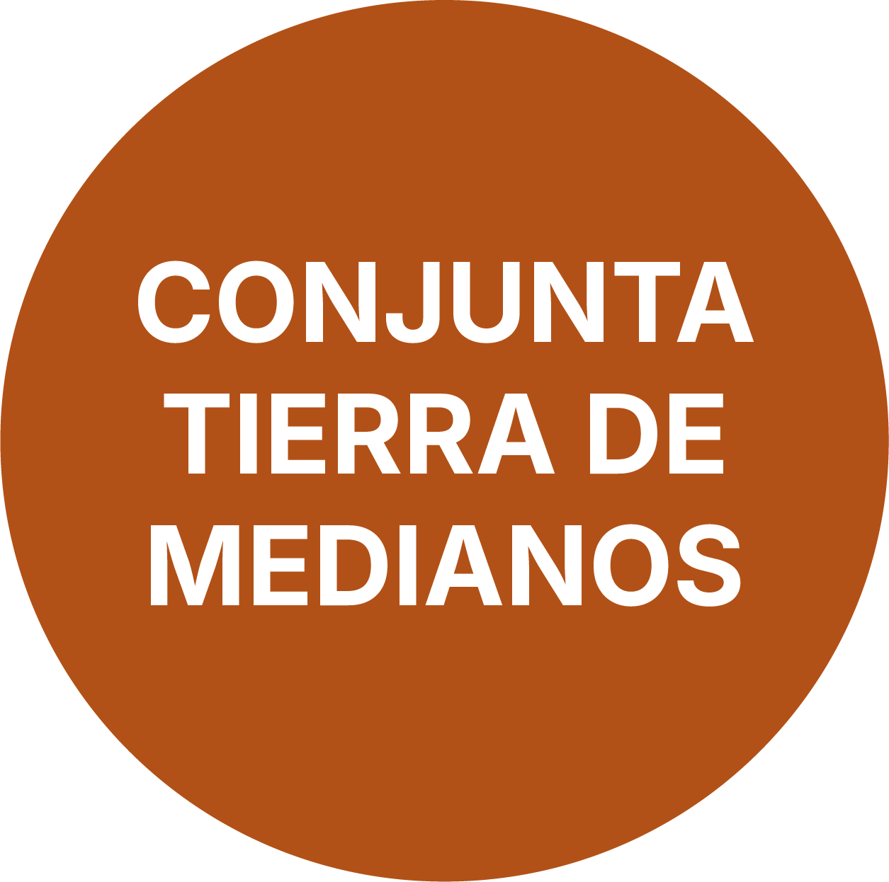 Conjunta TIERRA DE MEDIANOS