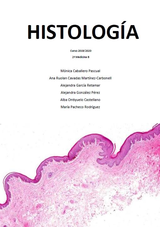 Histología - (335 PÁG) - (Mónica)