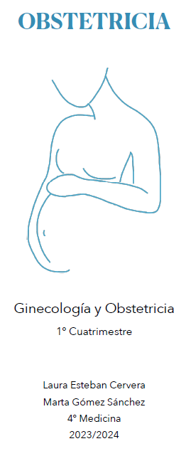 Obstetricia - (239 pág) - (Laura)