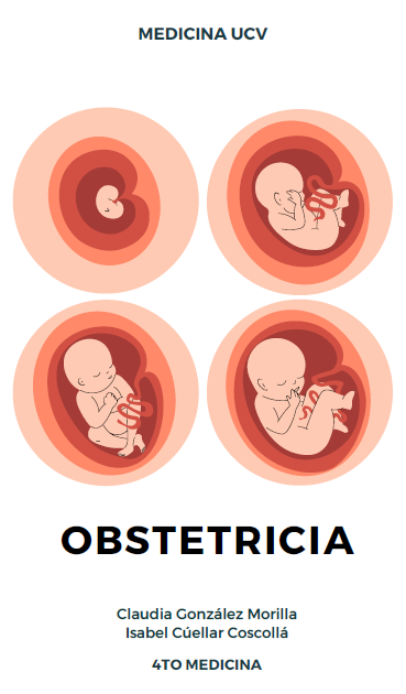 Obstreticia - (181 pág) - (Claudia e Isabel)